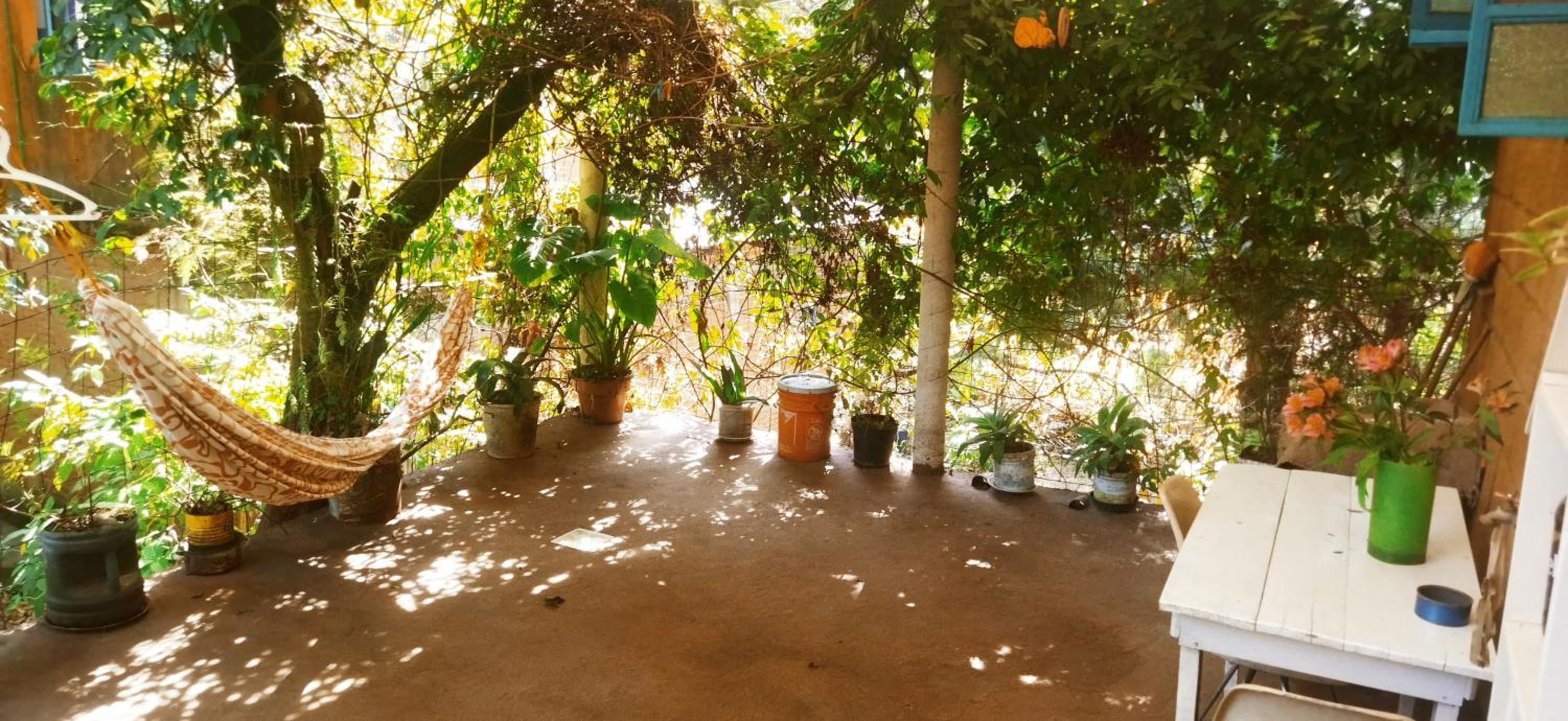 Foto de Casa Ecológica