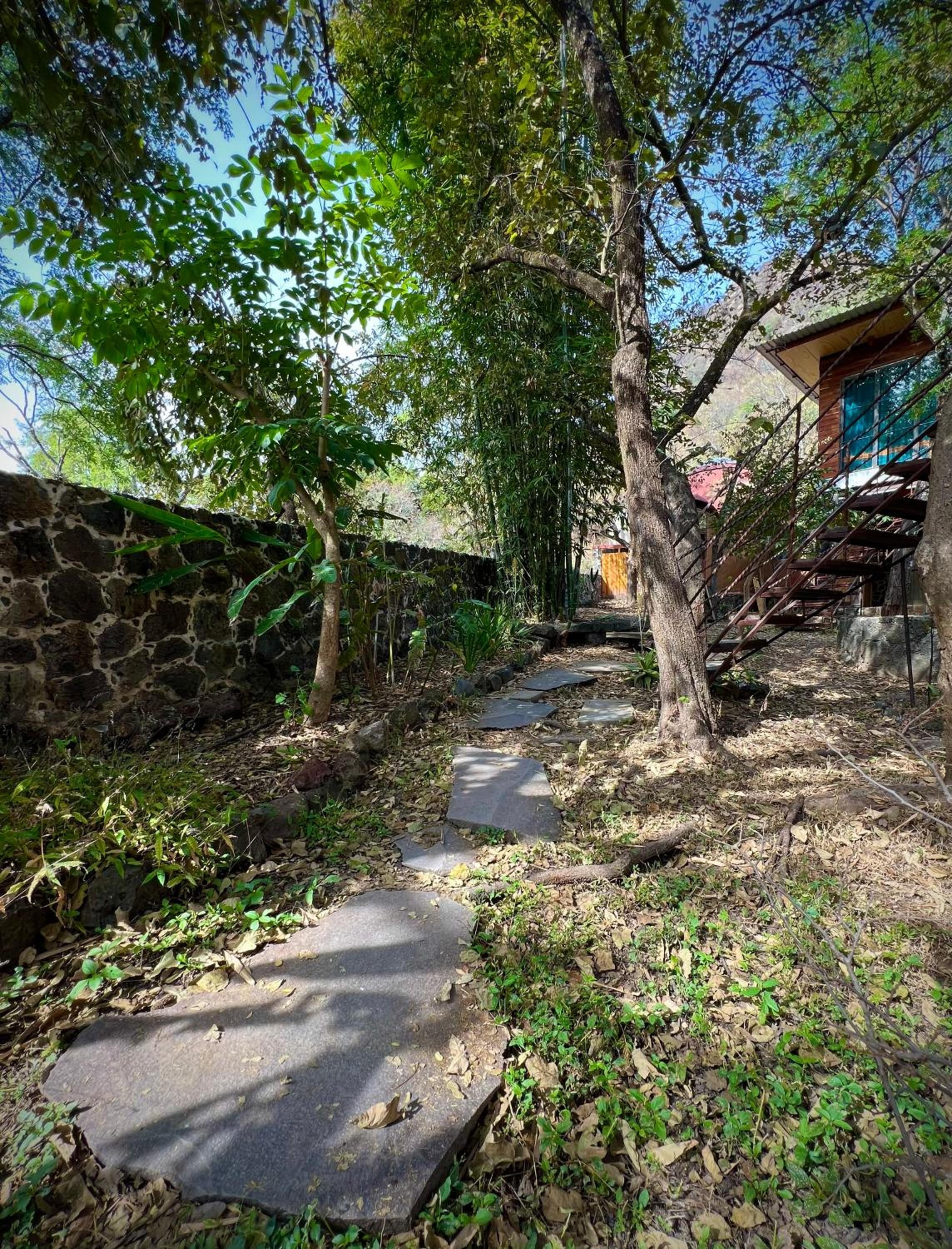 Foto de Santuario Ave Fénix-Cabañas