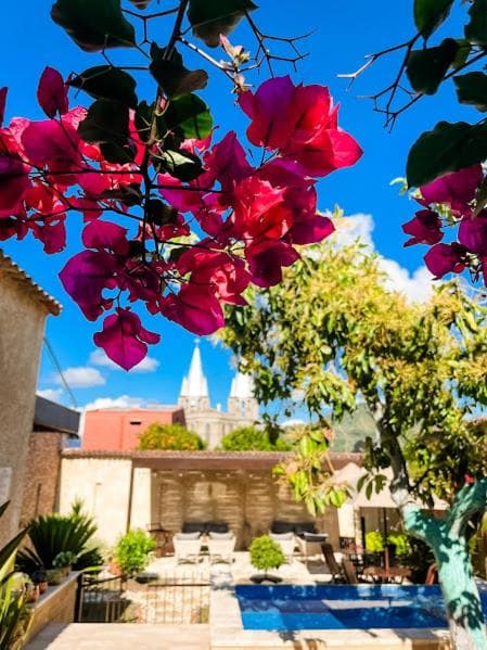 Foto de Casa Passiflora Hotel Boutique - Jardín
