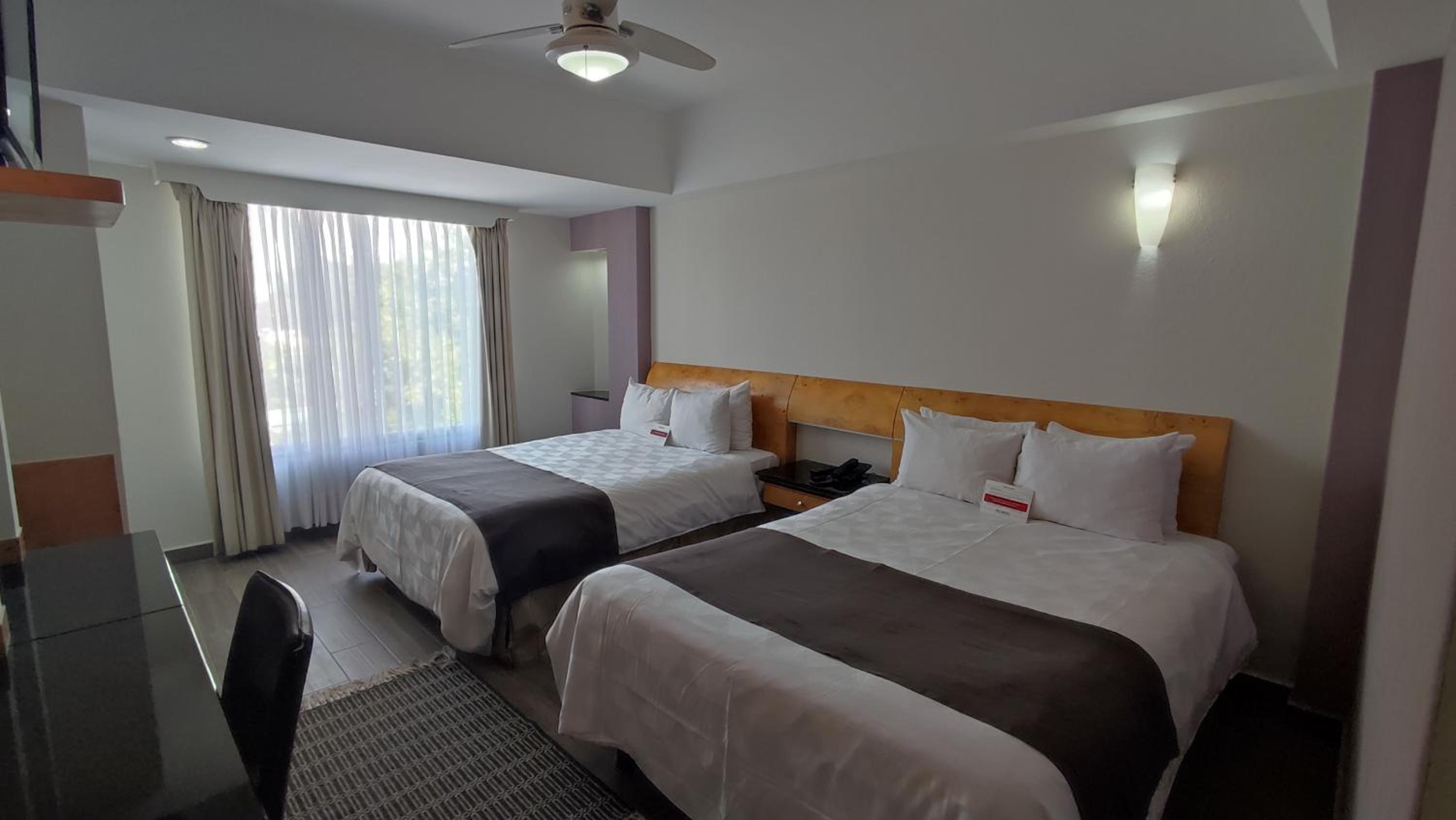 Foto de Holiday Inn Express Ciudad de Mexico Condesa by IHG