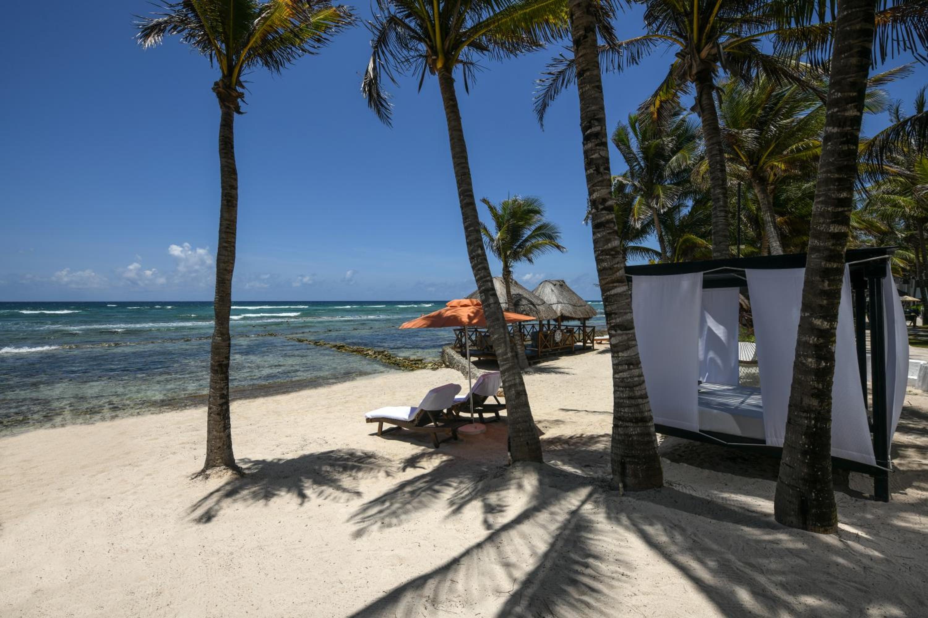 Foto de Hidden Beach Resort Au Naturel Adults Only, All & More Inclusive