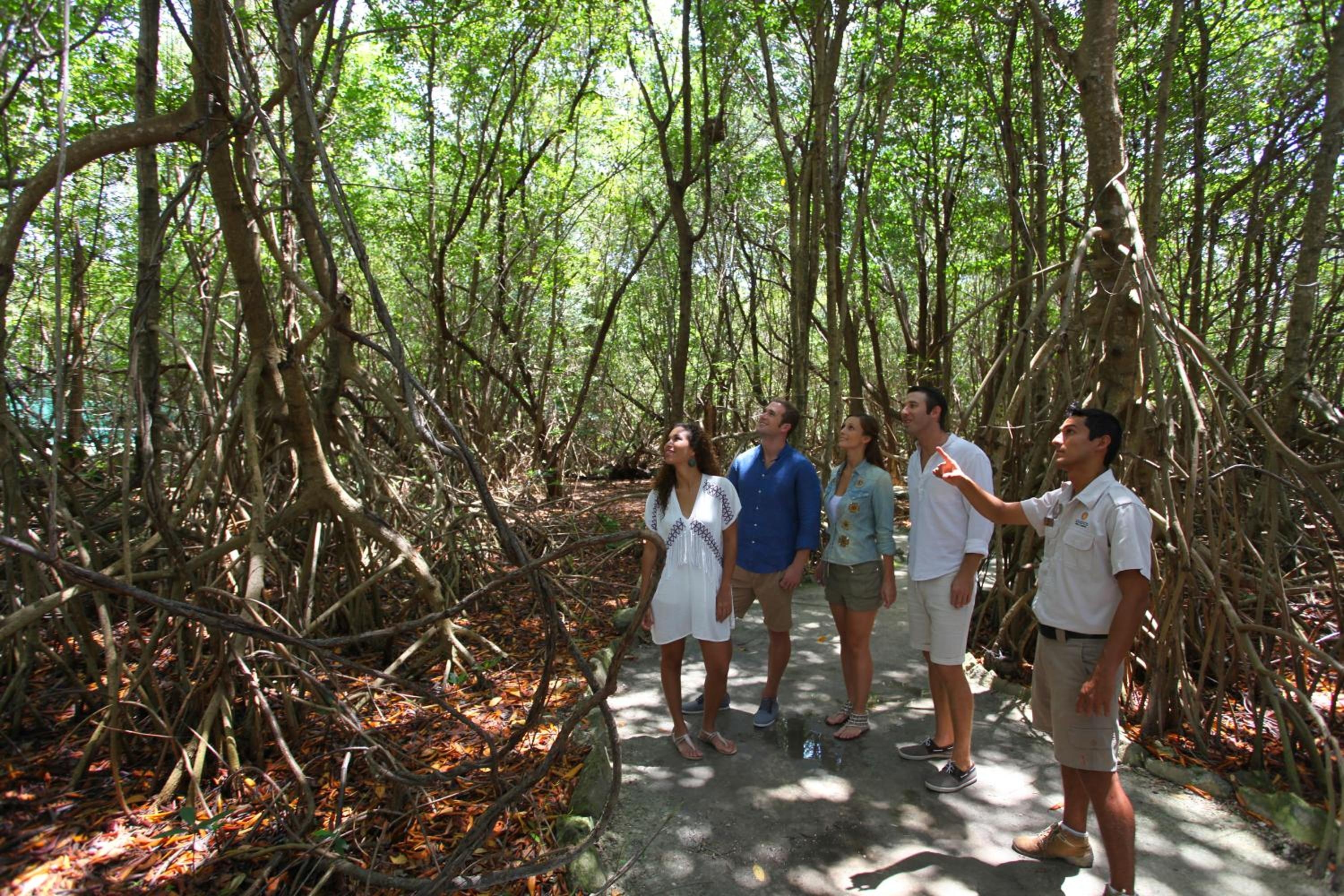 Foto de Select Club at Sandos Caracol All Inclusive - Adults Only Area