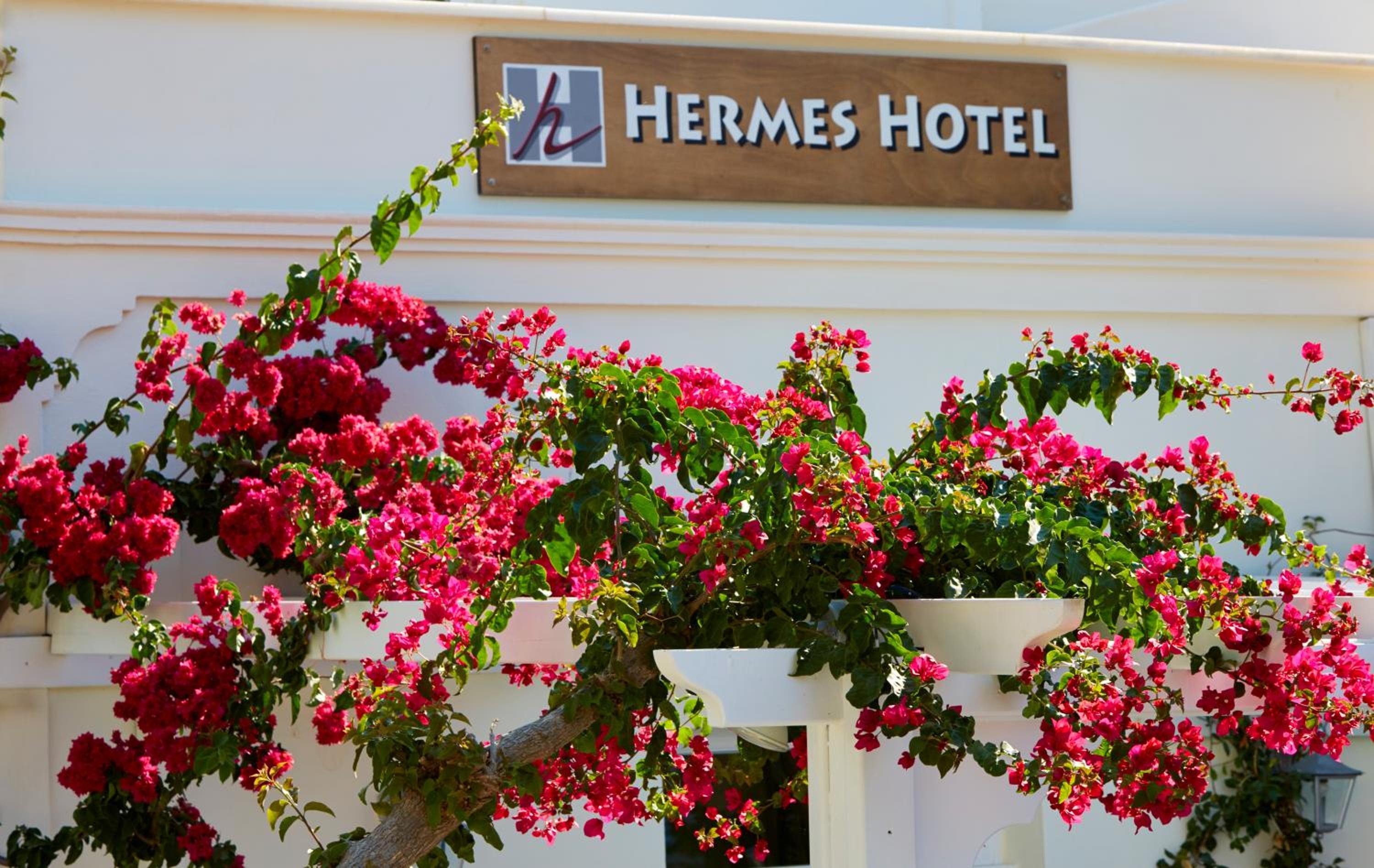 Hermes Hotel