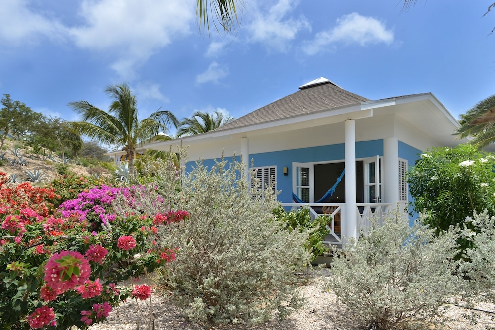 Foto de Chogogo Dive & Beach Resort Curacao