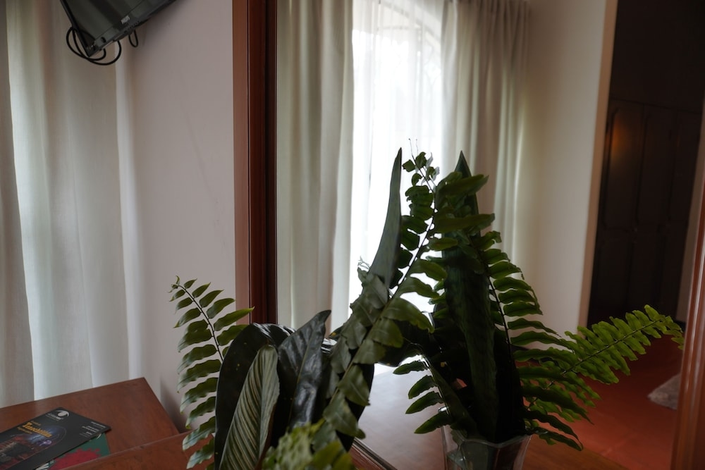 Foto de Hotel Ilebal Cuernavaca Centro - un lugar con encanto